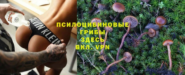 трава Осташков
