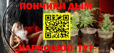 прущие грибы Абакан