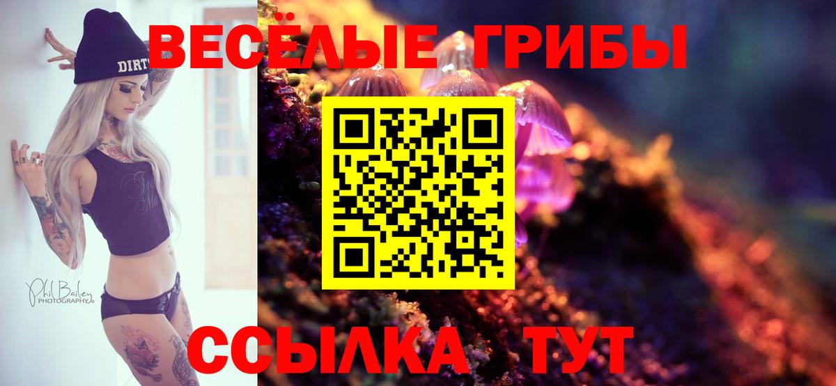 Псилоцибиновые грибы Cubensis  Апатиты 