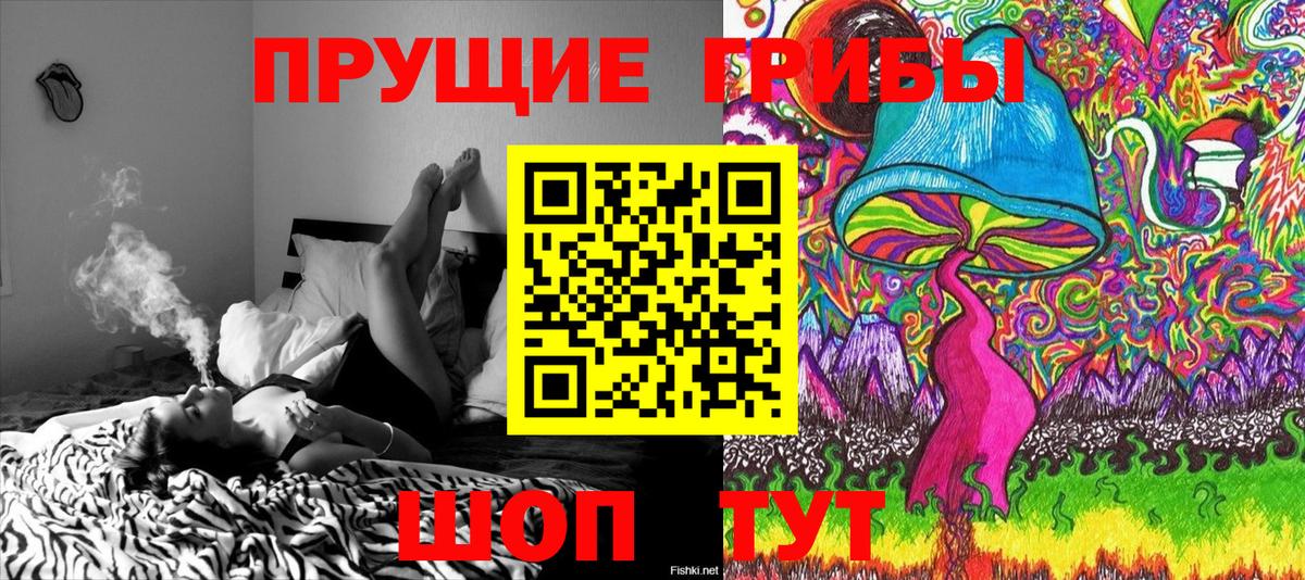 Галлюциногенные грибы Psilocybe Апатиты